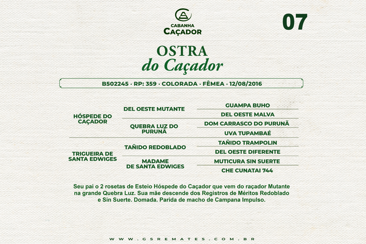 Geração OSTRA DO CAÇADOR 