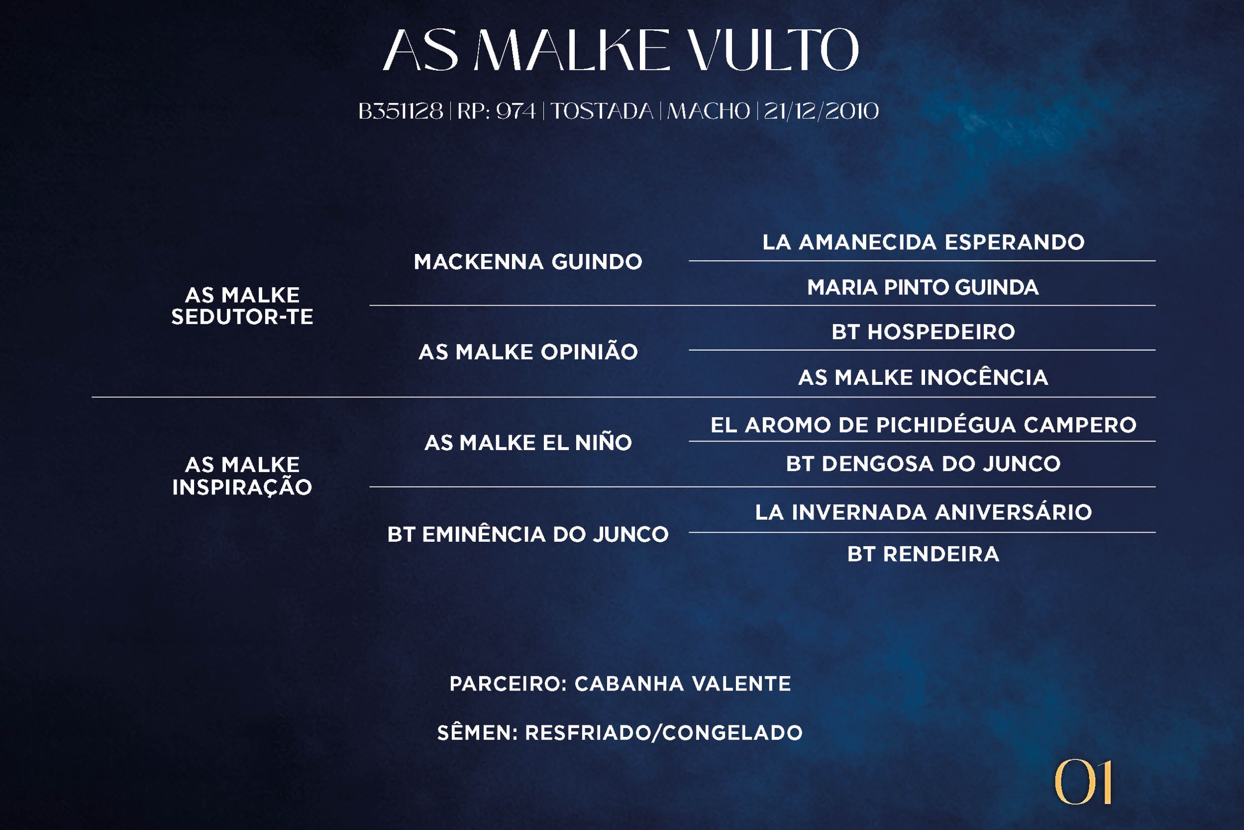 Geração AS MALKE VULTO