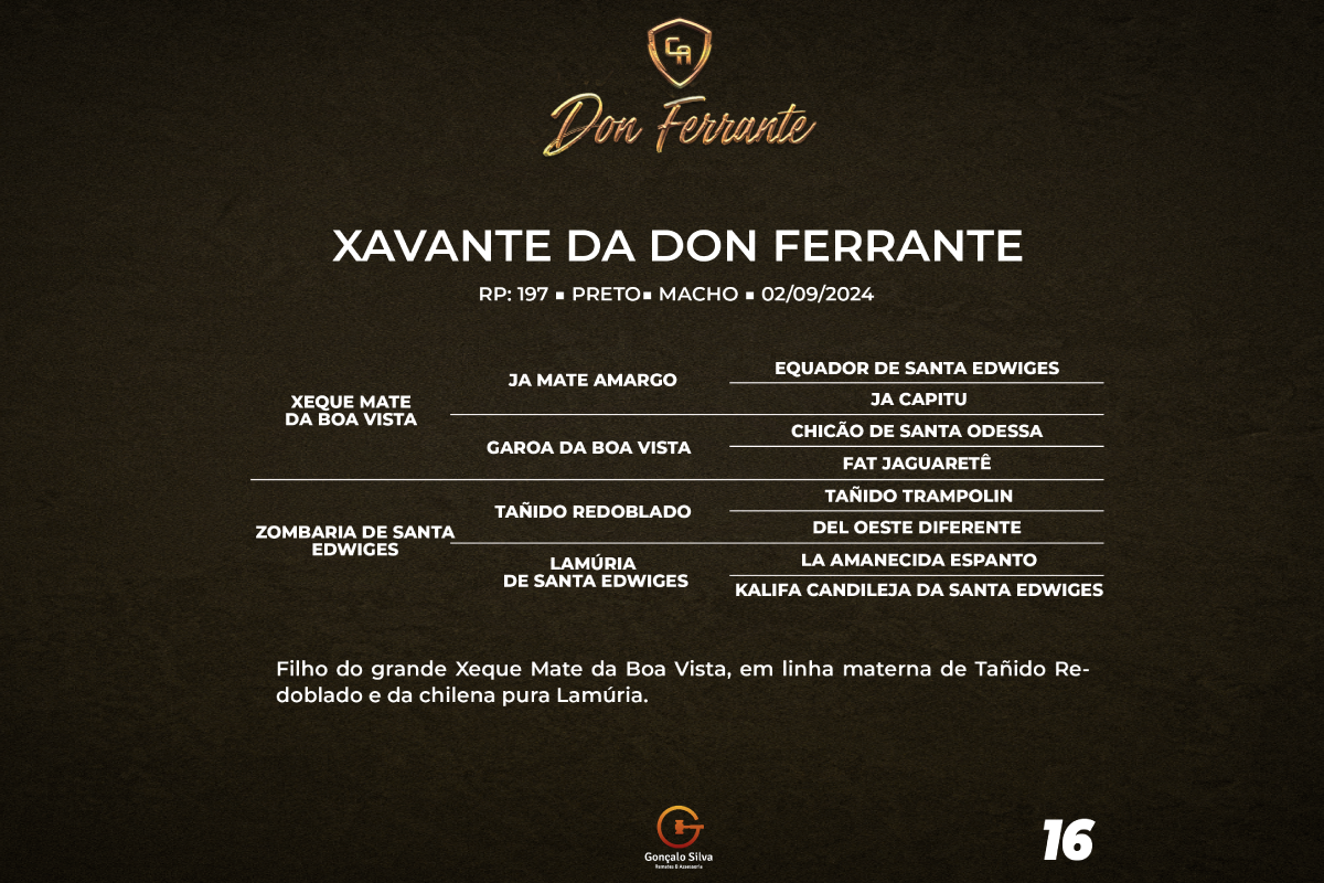 Geração XAVANTE DA DON FERRANTE 