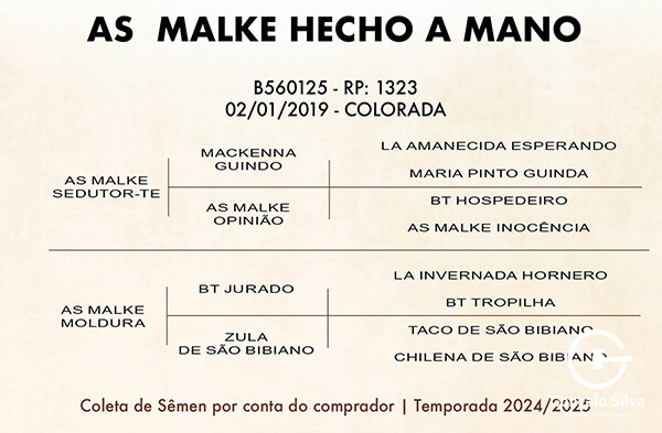 Geração AS MALKE HECHO A MANO