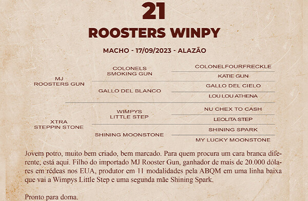 Geração ROOSTERS WINPY