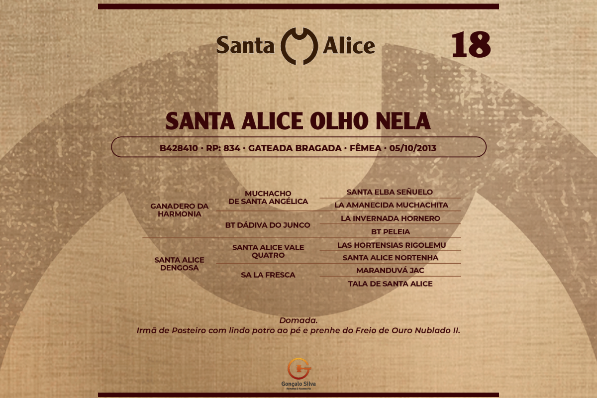 Geração SANTA ALICE OLHO NELA