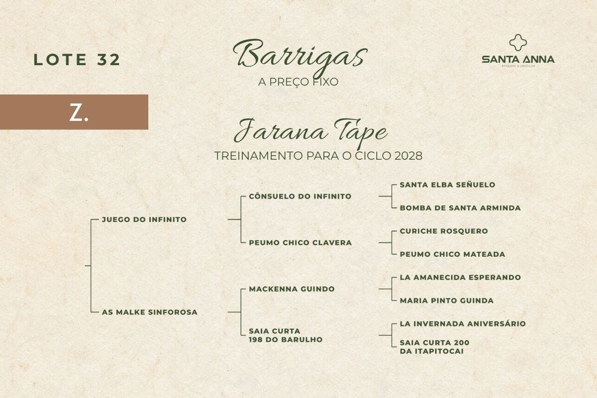Geração JARANA TAPE