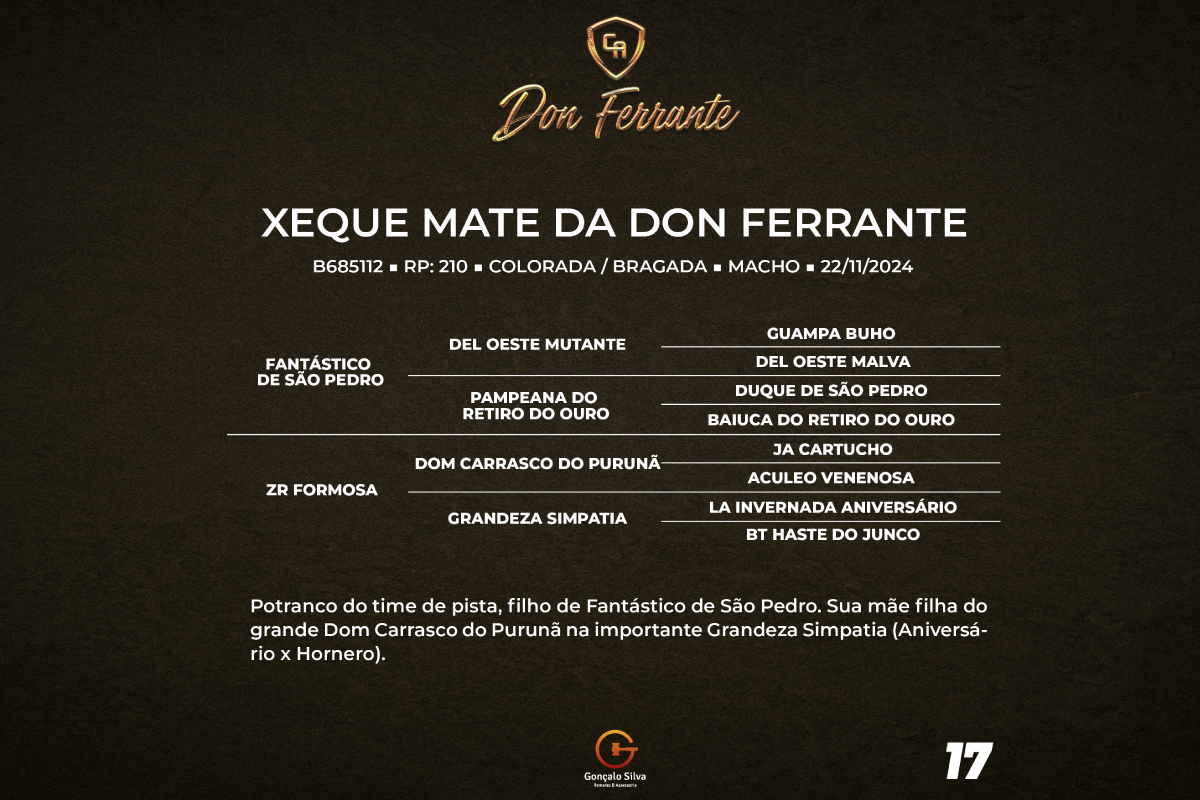 Geração XEQUE MATE DA DON FERRANTE 
