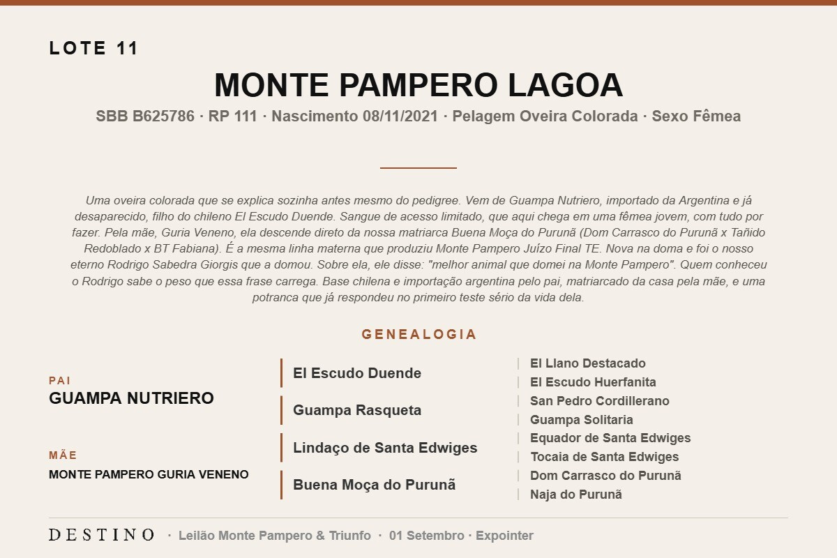 Geração MONTE PAMPERO LAGOA