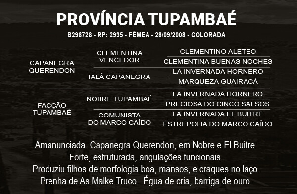 Geração PROVINCIA TUPAMBAÉ