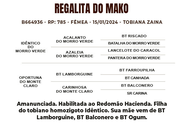 Geração REGALITA DO MAKO