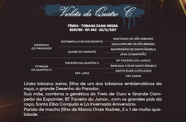 Geração VIOLETA DA QUATRO C