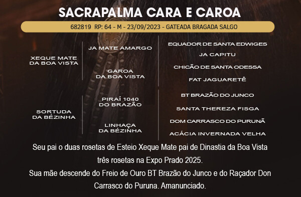 Geração SACRAPALMA CARA E COROA 