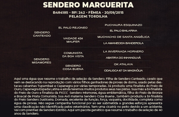 Geração SENDERO MARGUERITA