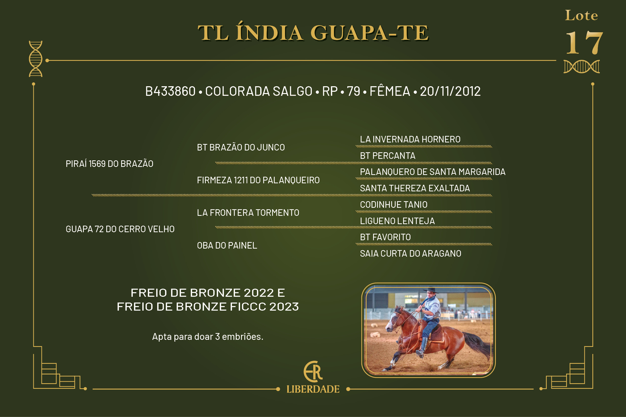 Geração TL ÍNDIA GUAPA - TE