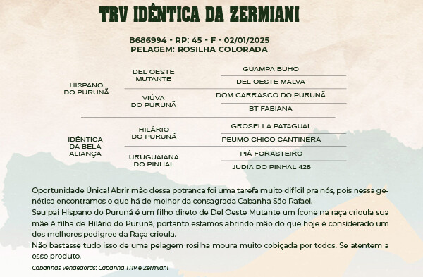 Geração TRV IDÊNTICA DA ZERMIANI 