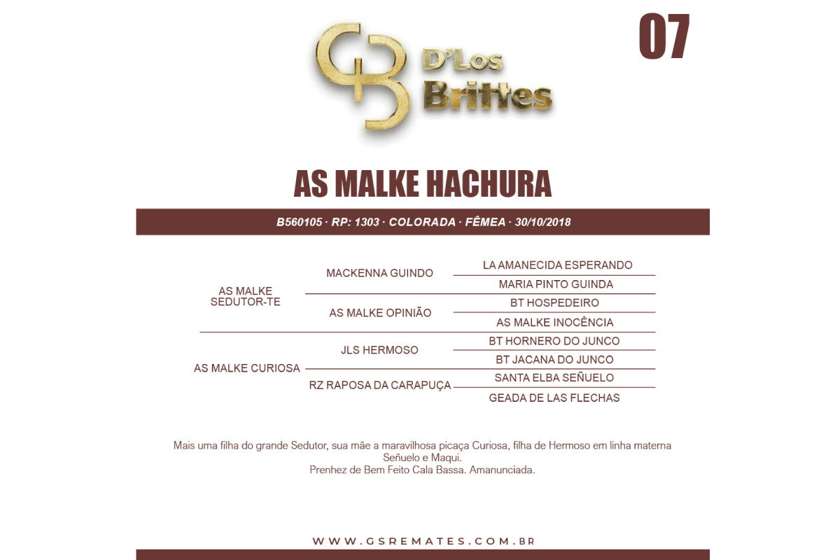 Geração AS MALKE HACHURA