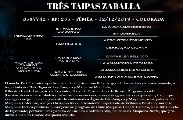 Geração TRES TAIPAS ZABALLA
