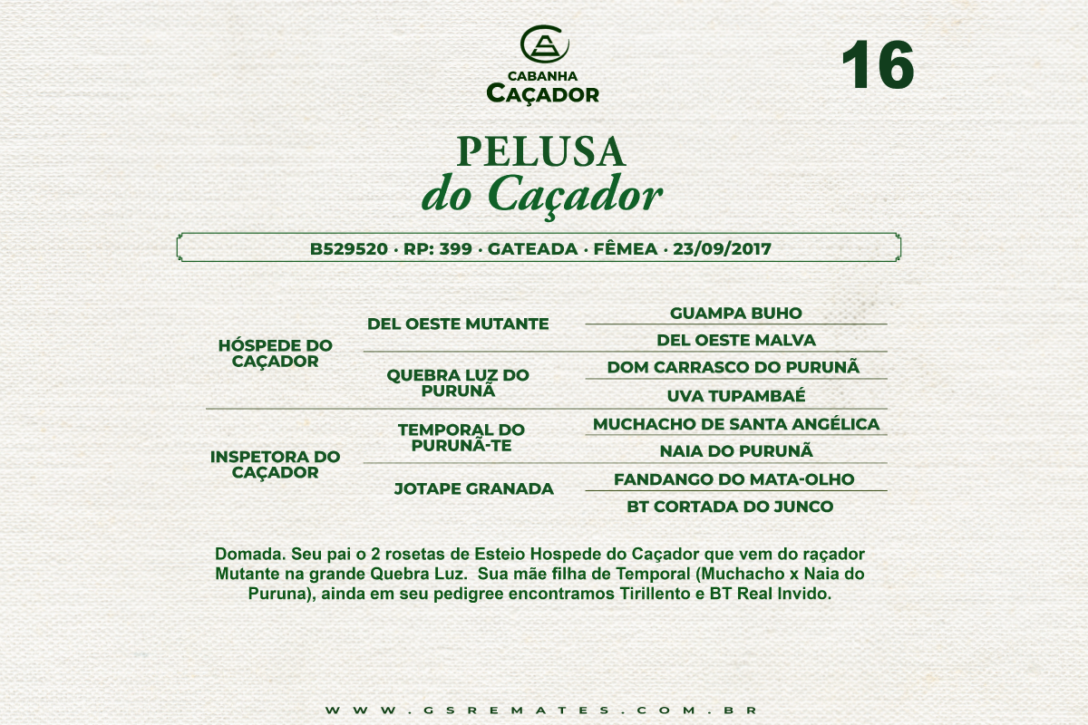 Geração PELUSA DO CAÇADOR 