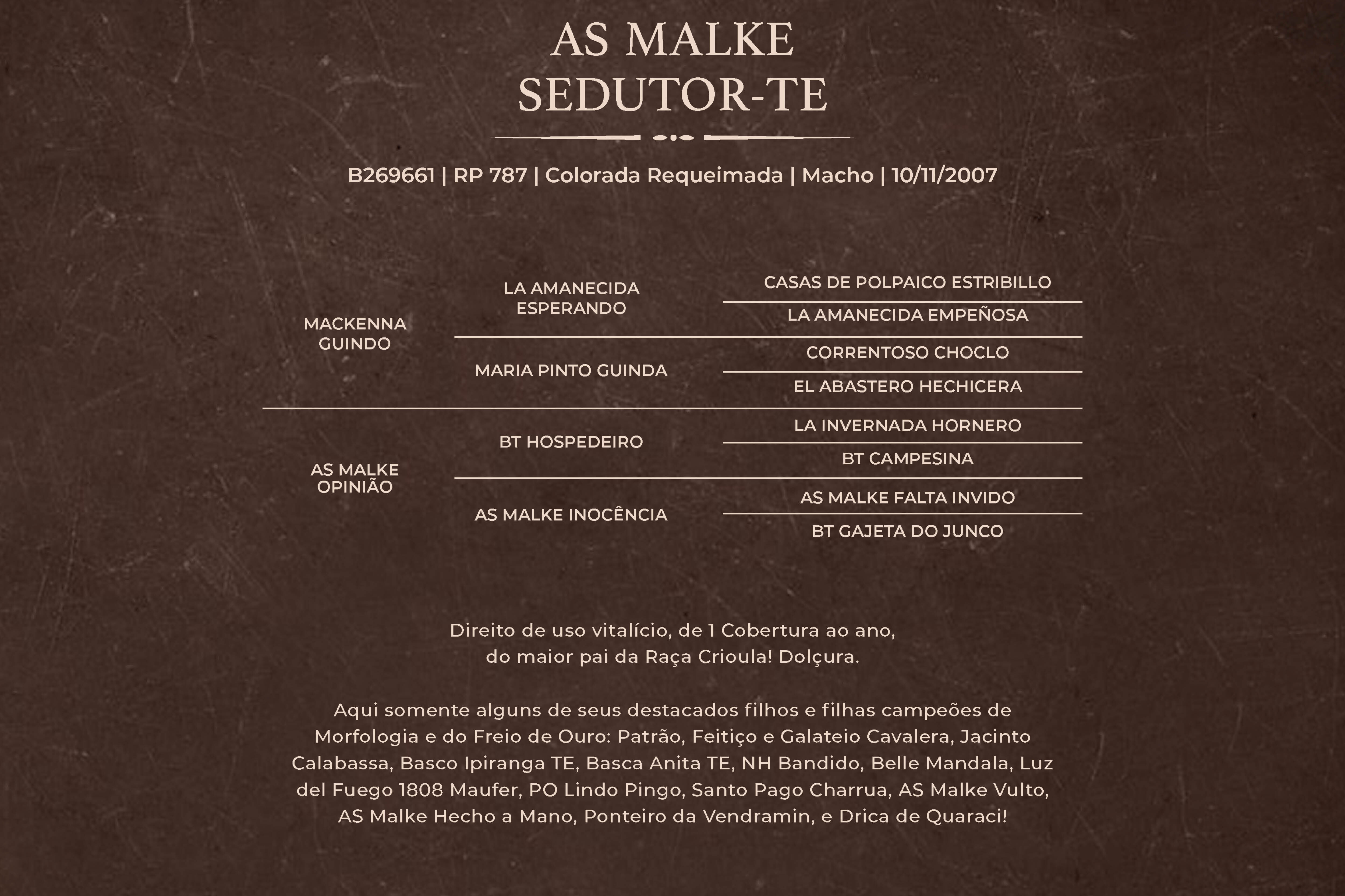 Geração AS MALKE SEDUTOR-TE - Direito de uso 