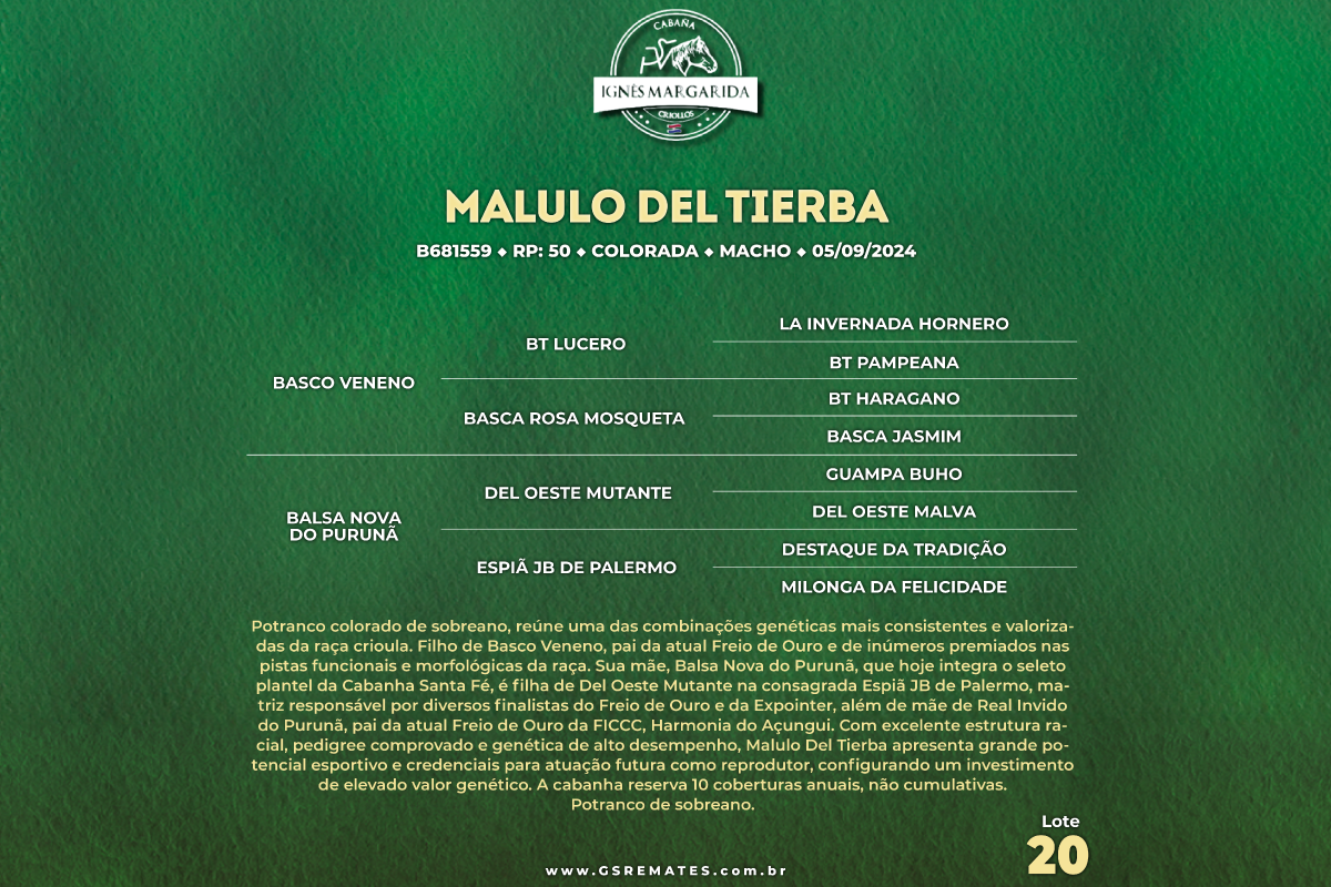 Geração MALULO DEL TIERBA