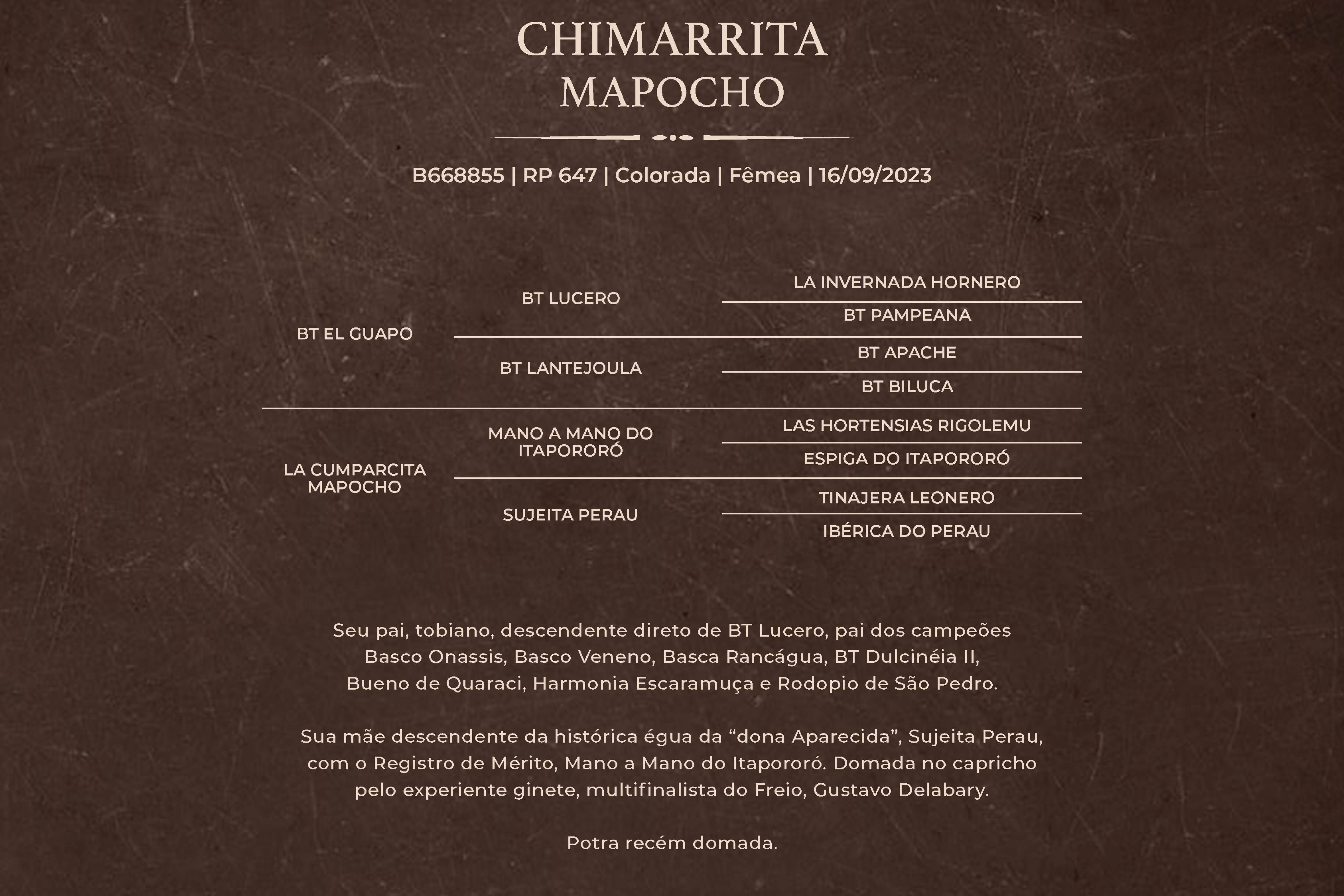 Geração CHIMARRITA MAPOCHO