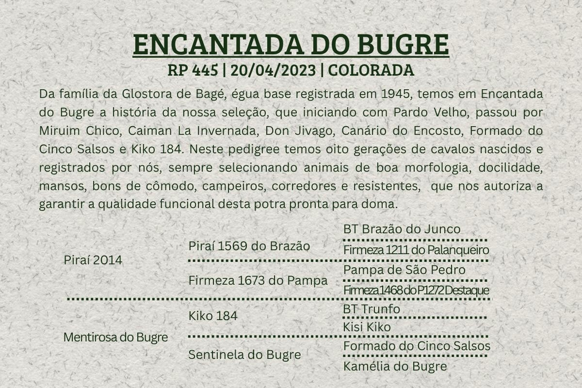 Geração ENCANTADA DO BUGRE
