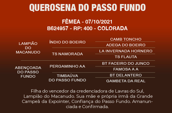 Geração QUEROSENA DO PASSO FUNDO