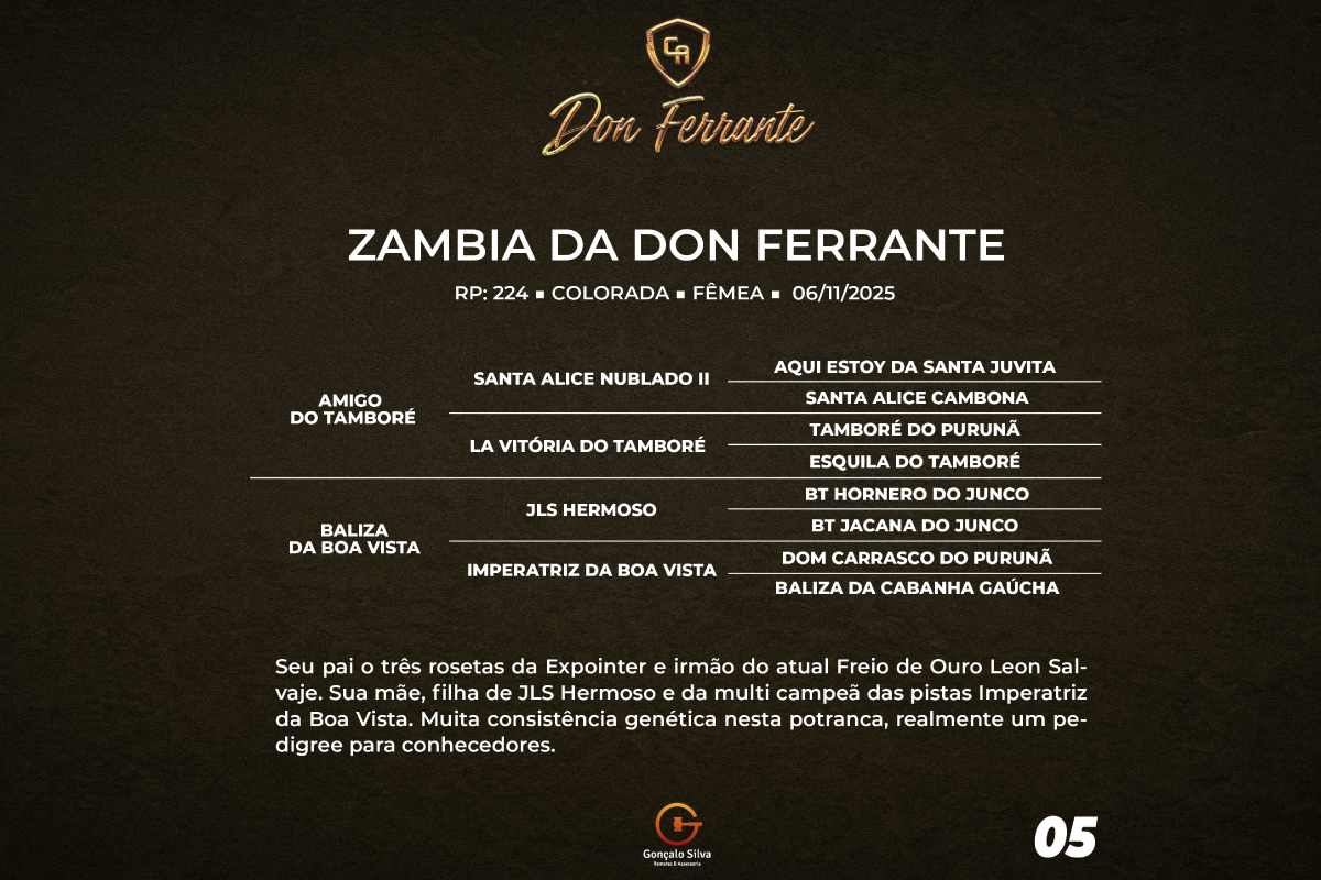 Geração ZAMBIA DA DON FERRANTE 