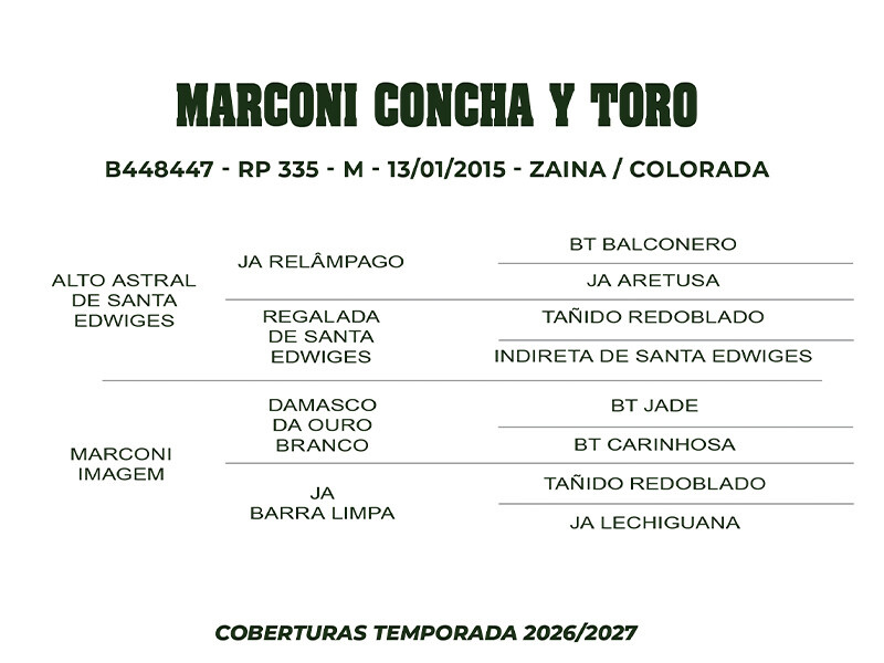 Geração COBERTURA MARCONI CONCHA Y TORO 