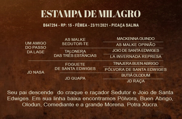 Geração ESTAMPA DE MILAGRO 