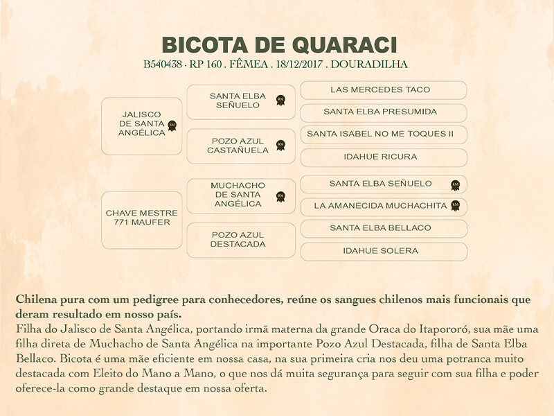Geração BICOTA DE QUARACI