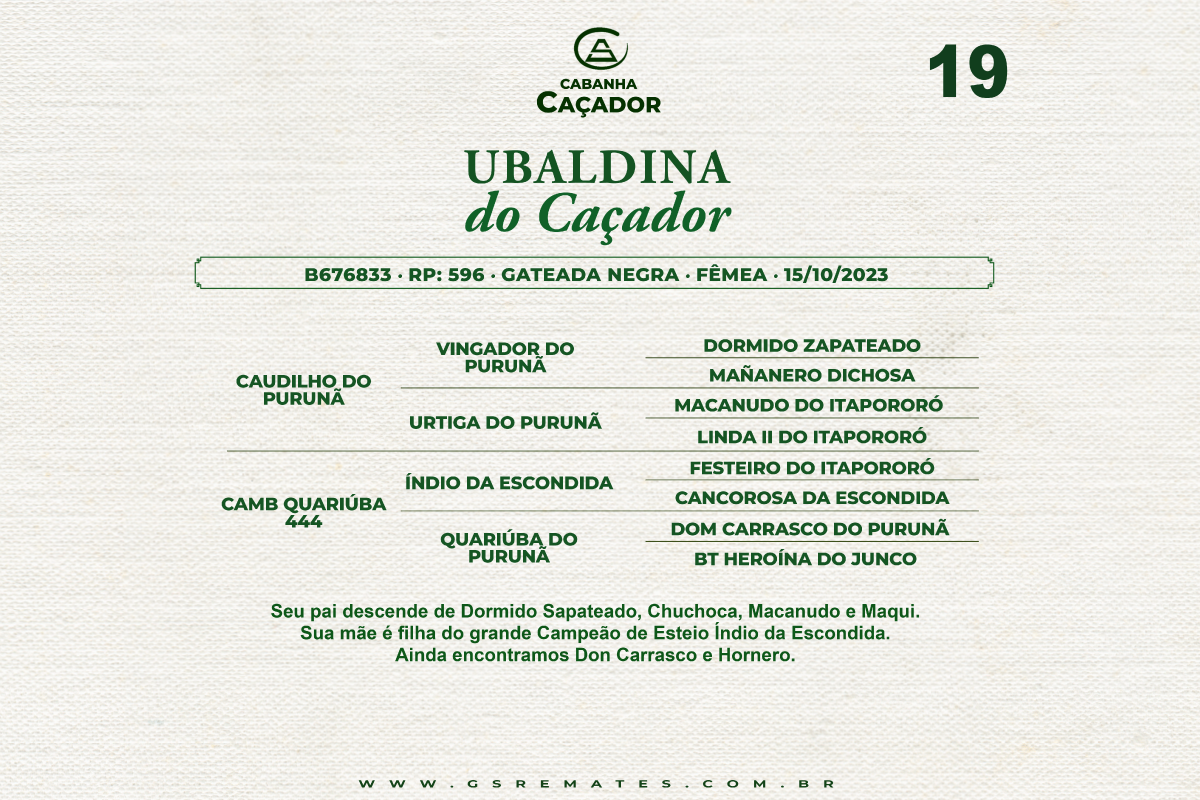 Geração UBALDINA DO CAÇADOR 