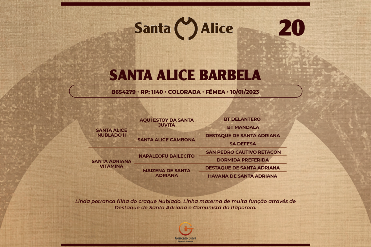 Geração SANTA ALICE BARBELA