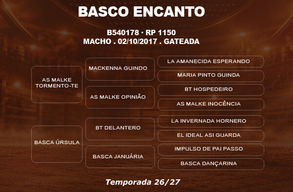 Geração COBERTURA BASCO ENCANTO 