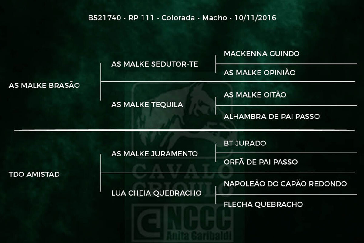 Geração JUSTICEIRO 111 DO IMAGUARÉ