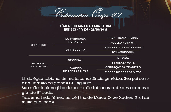 Geração CATAMARCA ONÇA 107