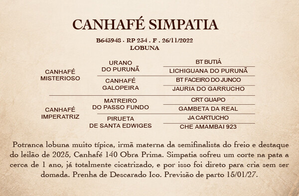 Geração CANHAFÉ SIMPATIA