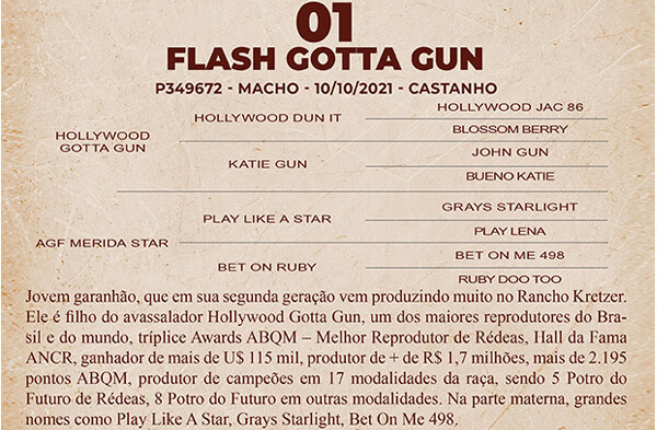 Geração FLASH GOTTA GUN