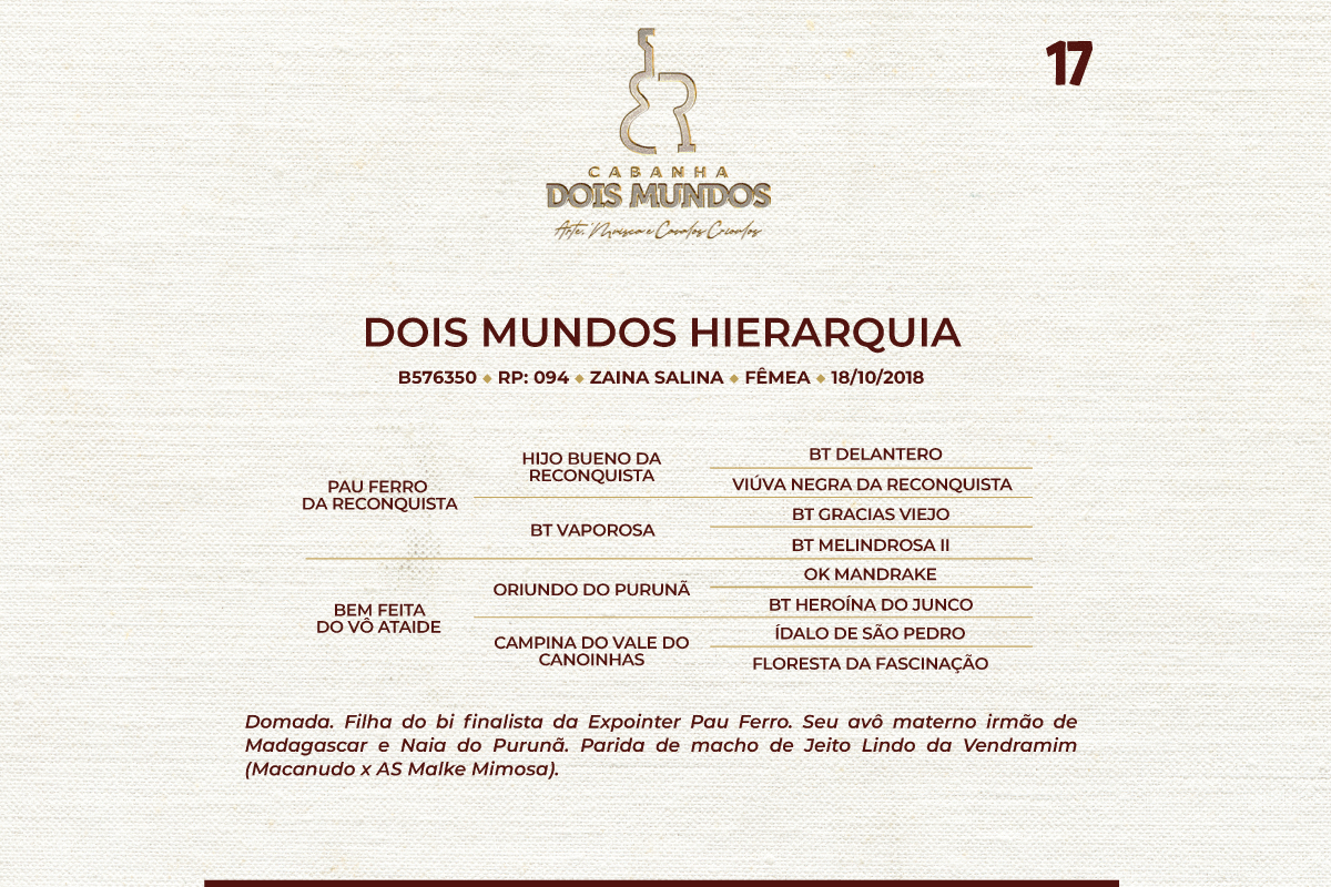 Geração DOIS MUNDOS HIERARQUIA