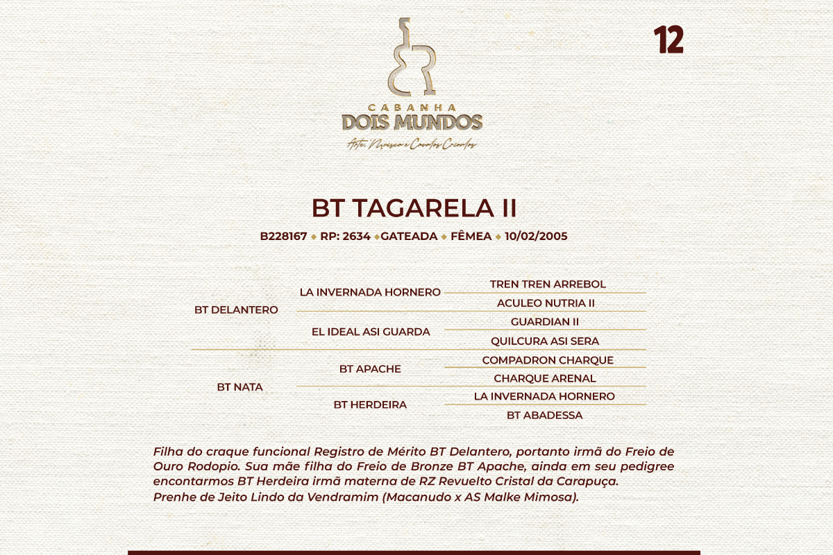Geração BT TAGARELA II