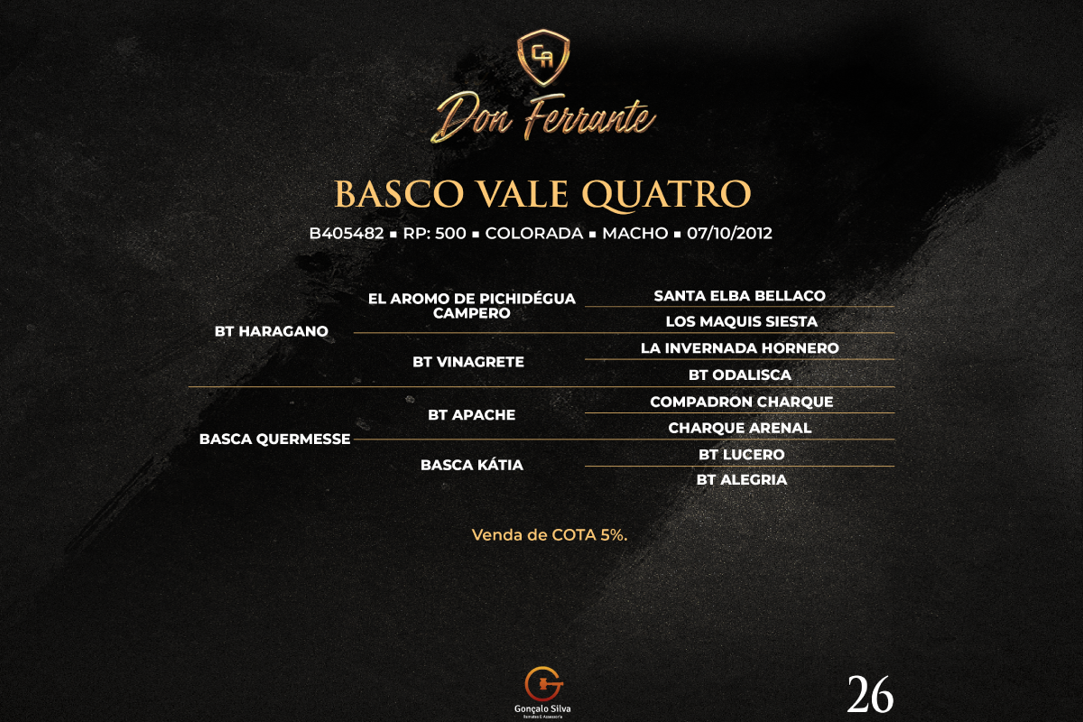 Geração COTA DE 5% DE BASCO VALE QUATRO