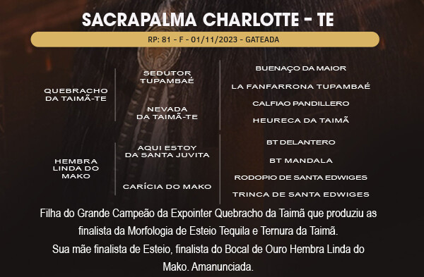 Geração SACRAPALMA CHARLOTTE - TE 