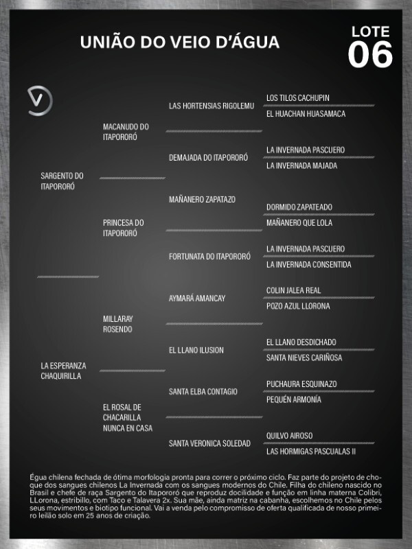 Geração UNIÃO DO VEIO D'ÁGUA