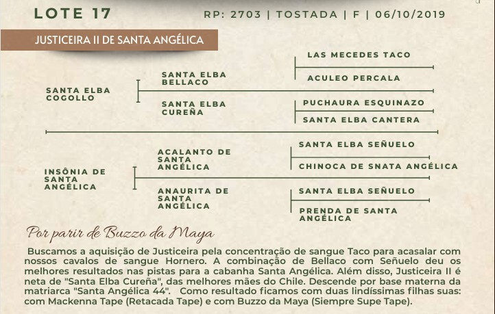 Geração JUSTICEIRA II DE SANTA ANGÉLICA 