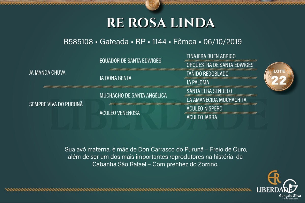 Geração RE ROSA LINDA