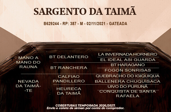 Geração Sargento da Taimã ou Miss Amores da Taimã