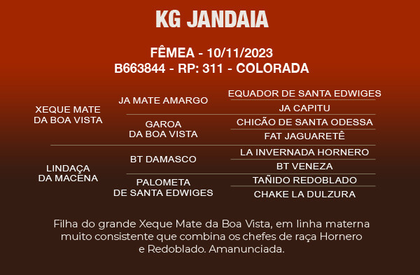 Geração KG JANDAIA