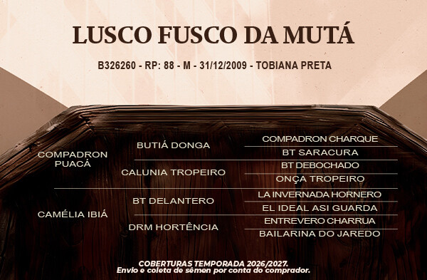 Geração Lusco Fusco da Mutá