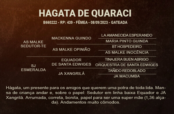 Geração HAGATA DE QUARACI