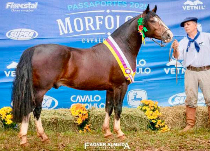 BASCO JERONIMO
