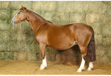 CAMB LUA CHEIA 342