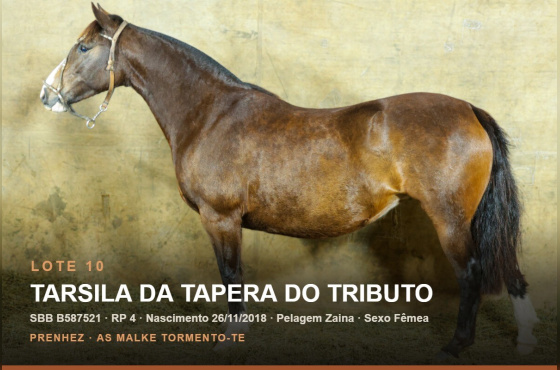 TARSILA DA TAPERA DO TRIBUTO