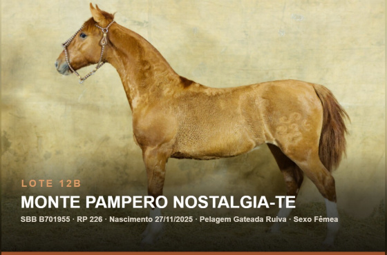 MONTE PAMPERO NOSTALGIA-TE - (Venda vertical)